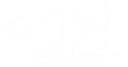 API TORINO Logo